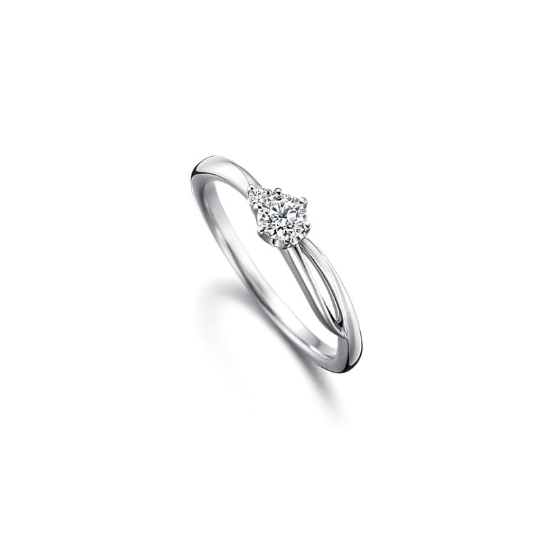カンパニュラ プラチナ